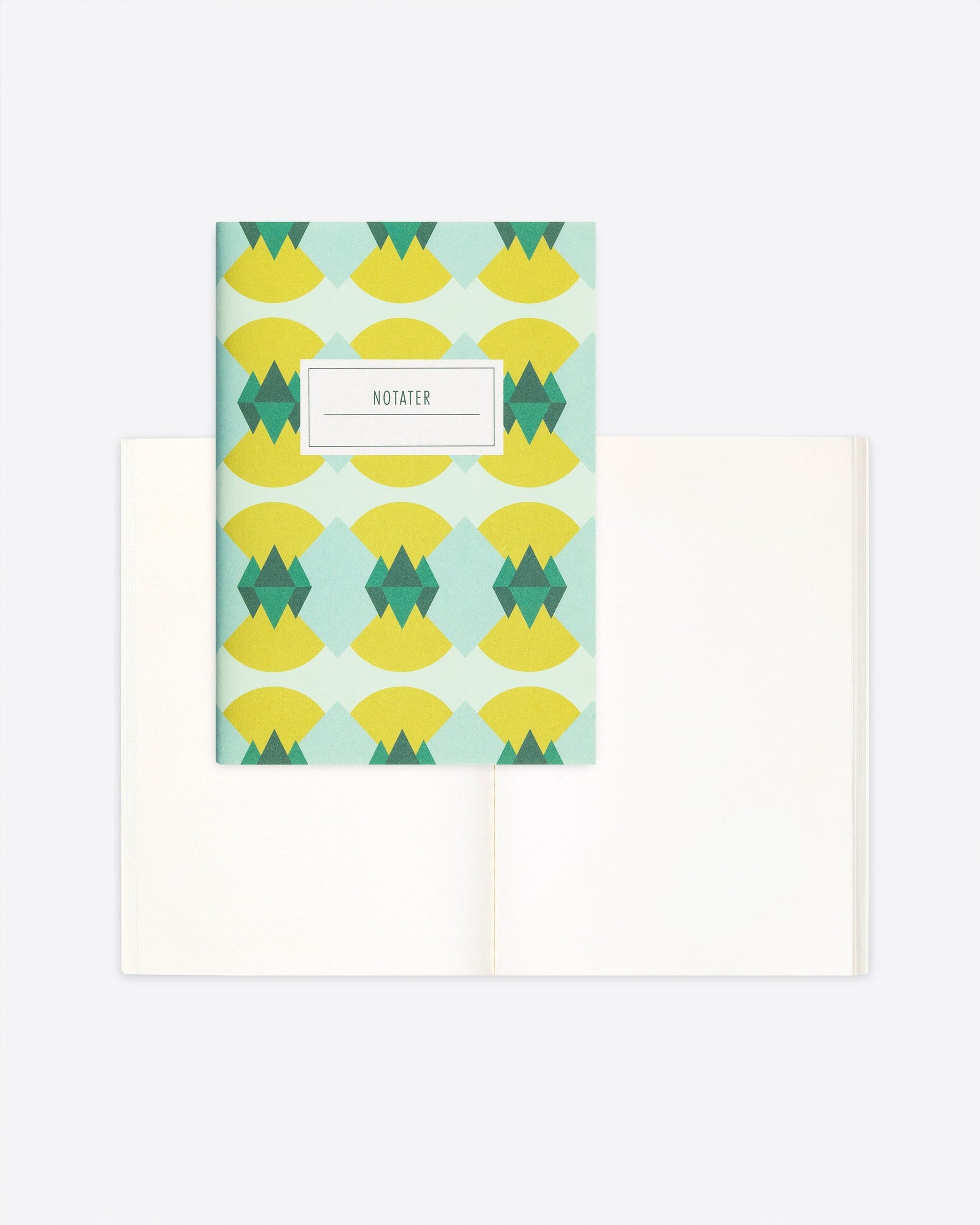 Notebook with dust jacket